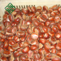 bulk sweet chestnut in china